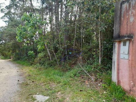 Foto 5 do(a) Terreno false à venda em Invernada, Embu das Artes