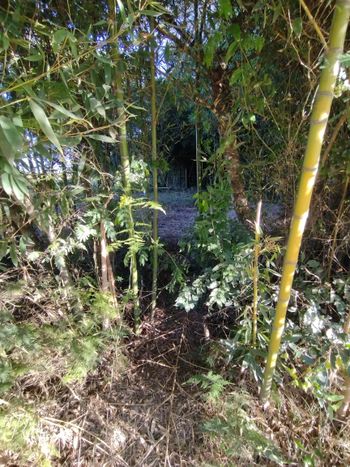 Foto 2 do(a) Terreno false à venda em Povo Novo, Rio Grande