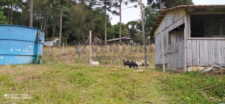Foto 8 do(a) Fazenda / Sítio / Chácara de 2 quartos à venda em null, Agudos do Sul