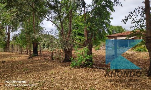 Foto 5 do(a) Terreno false à venda em Vila São Miguel, Itapeva
