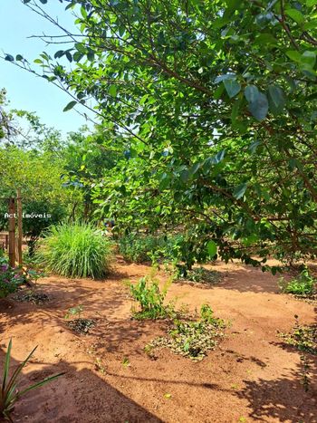 Foto 9 do(a) Fazenda / Sítio / Chácara de 2 quartos à venda em Ipanema, Araçatuba