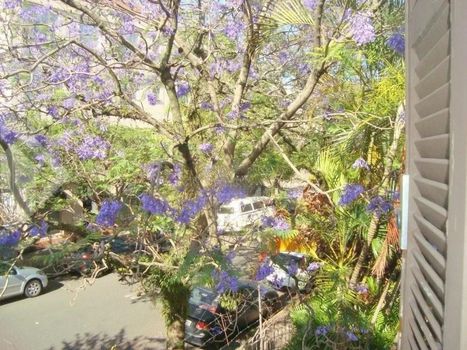 Foto 4 do(a) Flat de 3 quartos à venda em Santa Cecília, Porto Alegre