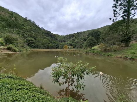 Foto 46 do(a) Fazenda / Sítio / Chácara de 3 quartos à venda em Cruzeiro, Teresópolis