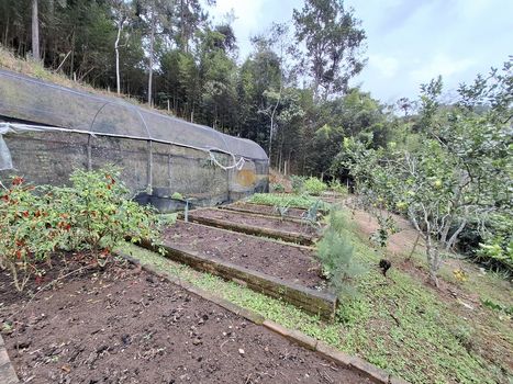Foto 33 do(a) Fazenda / Sítio / Chácara de 3 quartos à venda em Cruzeiro, Teresópolis