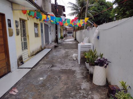 Foto 1 do(a) Casa de 5 quartos à venda em Jacintinho, Maceió