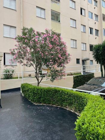 Foto 17 do(a) Apartamento de 3 quartos à venda em Jardim América, Taboão da Serra