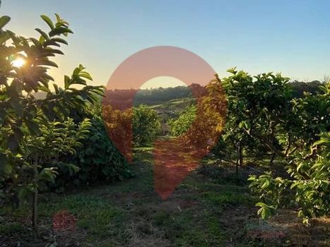 Foto 5 do(a) Fazenda / Sítio / Chácara de 2 quartos à venda em Reforma Agrária, Valinhos