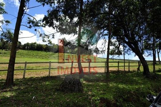 Foto 19 do(a) Fazenda / Sítio / Chácara de 4 quartos à venda em Jardim Santa Esmeralda, Sorocaba