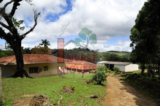 Foto 3 do(a) Fazenda / Sítio / Chácara de 4 quartos à venda em Jardim Santa Esmeralda, Sorocaba