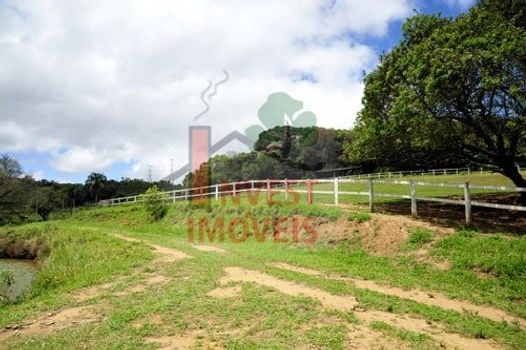 Foto 24 do(a) Fazenda / Sítio / Chácara de 4 quartos à venda em Jardim Santa Esmeralda, Sorocaba