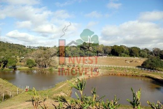 Foto 9 do(a) Fazenda / Sítio / Chácara de 4 quartos à venda em Jardim Santa Esmeralda, Sorocaba