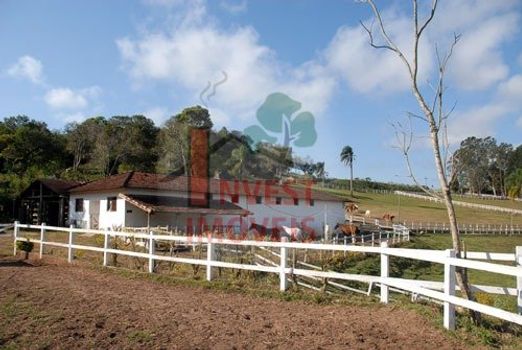 Foto 30 do(a) Fazenda / Sítio / Chácara de 4 quartos à venda em Jardim Santa Esmeralda, Sorocaba
