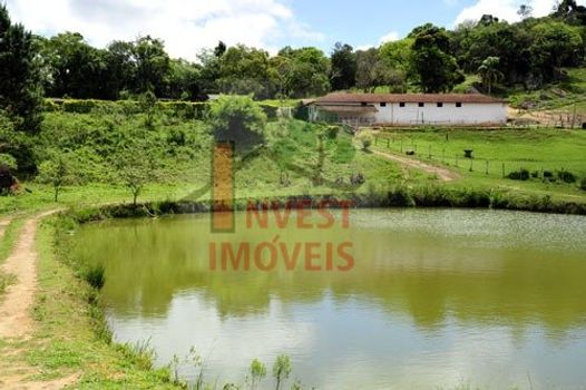 Foto 11 do(a) Fazenda / Sítio / Chácara de 4 quartos à venda em Jardim Santa Esmeralda, Sorocaba