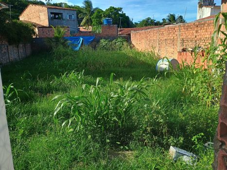 Foto 3 do(a) Terreno false à venda em null, Paripueira