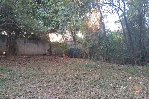 Foto 18 do(a) Fazenda / Sítio / Chácara de 3 quartos à venda em Centro, Mogi Mirim