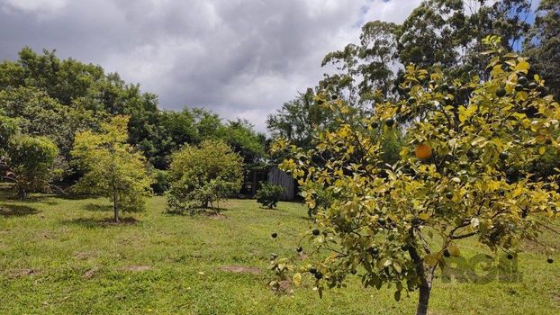 Foto 41 do(a) Fazenda / Sítio / Chácara de 4 quartos à venda em null, Nova Santa Rita