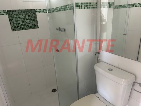 Foto 25 do(a) Cobertura de 3 quartos à venda em Vila Nova Cachoeirinha, São Paulo