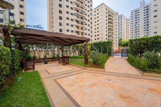 Foto 42 do(a) Apartamento de 3 quartos à venda em Vila Mascote, São Paulo