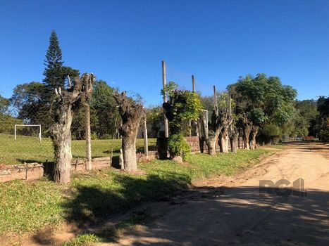 Foto 2 do(a) Fazenda / Sítio / Chácara false à venda em Krahe, Viamão