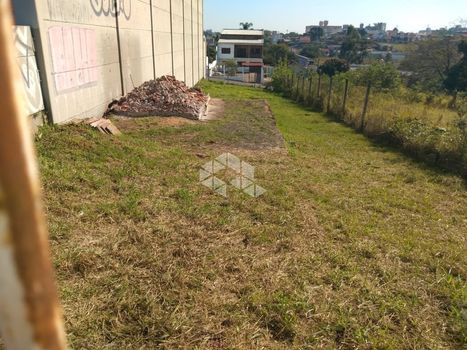 Foto 4 do(a) Terreno false à venda em Vila Parque Brasília, Cachoeirinha