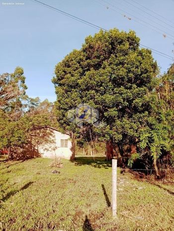 Foto 46 do(a) Fazenda / Sítio / Chácara de 2 quartos à venda em null, Torres