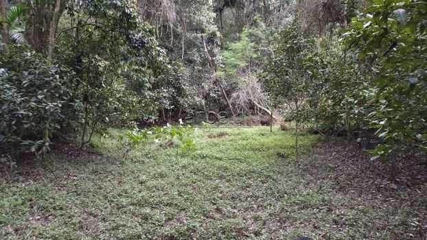 Foto 7 do(a) Terreno false à venda em null, São Lourenço da Serra