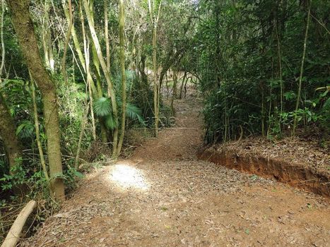 Foto 1 do(a) Terreno false à venda em null, São Lourenço da Serra