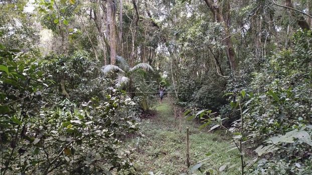 Foto 20 do(a) Terreno false à venda em null, São Lourenço da Serra