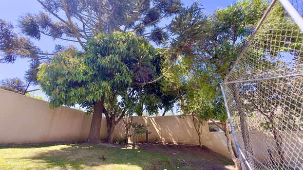 Foto 36 do(a) Apartamento de 2 quartos à venda em Parque da Fonte, São José dos Pinhais