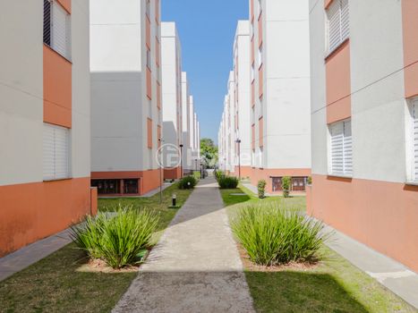 Foto 11 do(a) Apartamento de 2 quartos à venda em Jaraguá, São Paulo