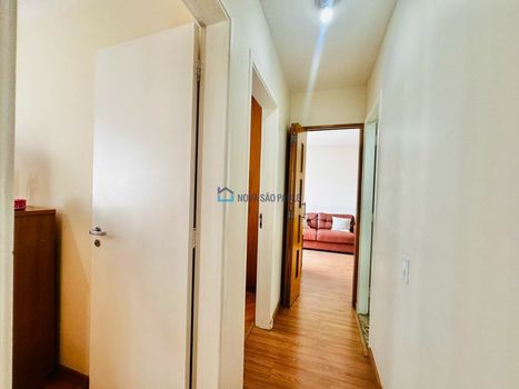 Foto 12 do(a) Apartamento de 3 quartos à venda em Cambuci, São Paulo