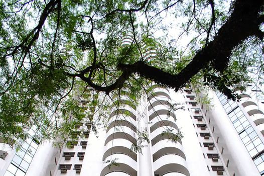 Foto 12 do(a) Apartamento de 1 quartos à venda em Bela Vista, São Paulo
