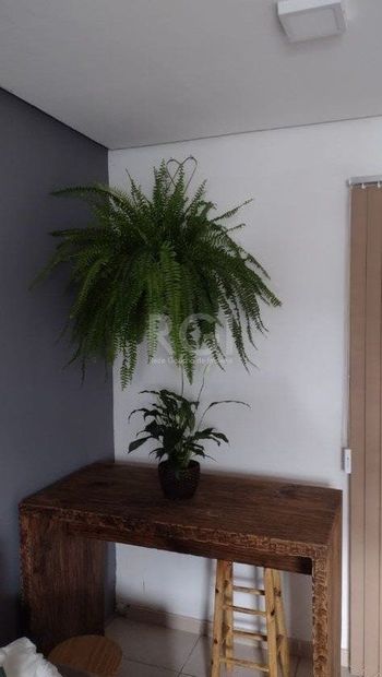 Foto 3 do(a) Casa em Condomínio de 2 quartos à venda em Florida, Guaíba