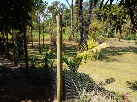 Foto 37 do(a) Fazenda / Sítio / Chácara de 3 quartos à venda em null, Itanhaém