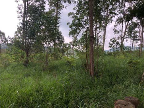 Foto 4 do(a) Terreno false à venda em Rio Abaixo, Mairiporã