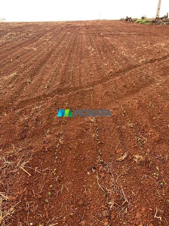 Foto 6 do(a) Fazenda / Sítio / Chácara false à venda em null, Pompéu