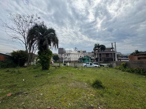 Foto 5 do(a) Terreno false à venda em São Judas Tadeu, Gravataí