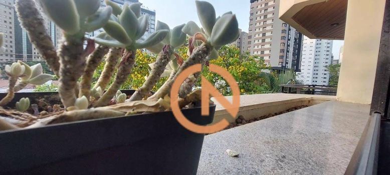 Foto 18 do(a) Apartamento de 3 quartos à venda em Indianópolis, São Paulo