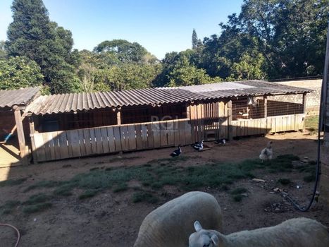 Foto 14 do(a) Fazenda / Sítio / Chácara de 2 quartos à venda em Krahe, Viamão