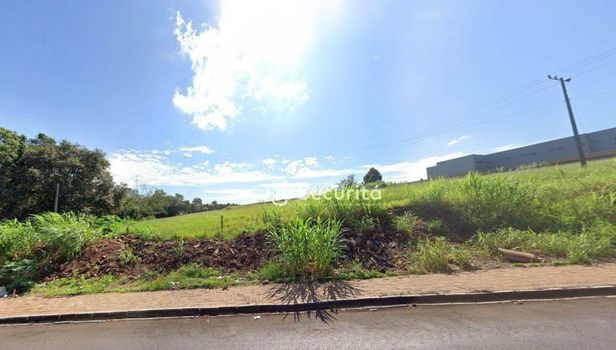 Foto 1 do(a) Terreno false à venda em Alto Alegre, Cascavel