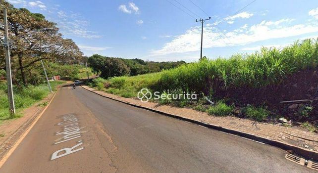 Foto 5 do(a) Terreno false à venda em Alto Alegre, Cascavel