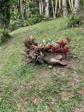 Foto 50 do(a) Casa em Condomínio de 5 quartos à venda em Jardim Salete, Taboão da Serra