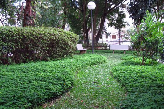 Foto 12 do(a) Apartamento de 3 quartos à venda em Jardim Ampliação, São Paulo
