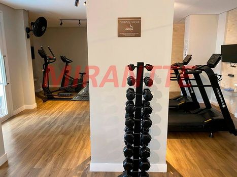 Foto 17 do(a) Apartamento de 2 quartos à venda em Vila Mazzei, São Paulo