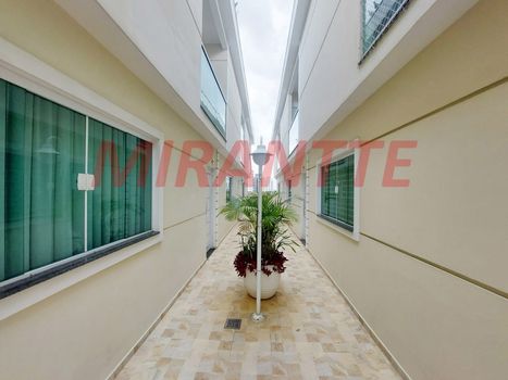Foto 32 do(a) Casa em Condomínio de 3 quartos à venda em Vila Maria Alta, São Paulo