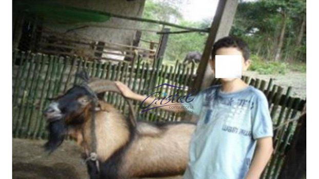 Foto 4 do(a) Fazenda / Sítio / Chácara de 2 quartos à venda em null, Juquiá