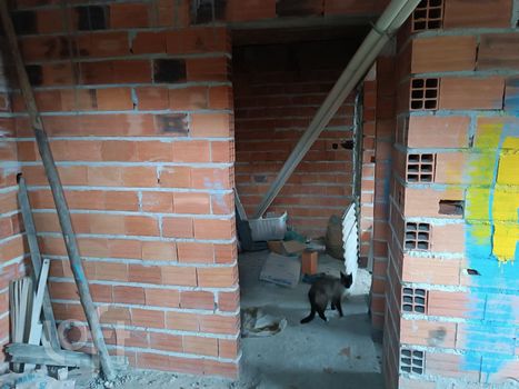 Foto 21 do(a) Casa de 3 quartos à venda em Chácara Santana, São Paulo