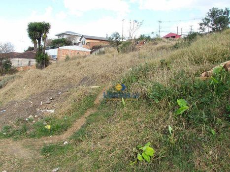 Foto 23 do(a) Terreno false à venda em Guarani, Colombo