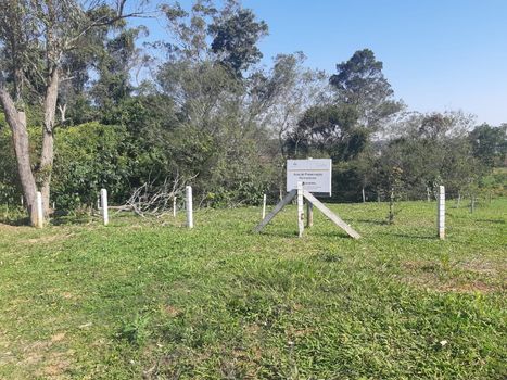 Foto 5 do(a) Terreno false à venda em Primeira Linha, Criciúma