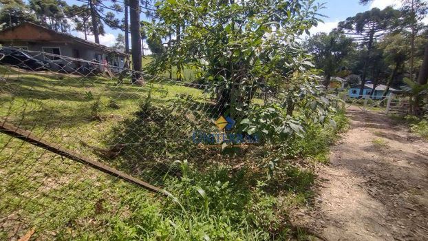 Foto 12 do(a) Fazenda / Sítio / Chácara de 3 quartos à venda em null, Campina Grande do Sul